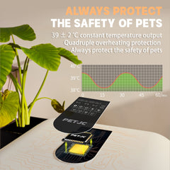 PvEvTv Automatic Pet Dryer Box for Cats and Small Dogs,Ultra Quiet Dog Hair Dryer 71L Capacity with Smart Temperature Control and 360 Drying(White-Standard)