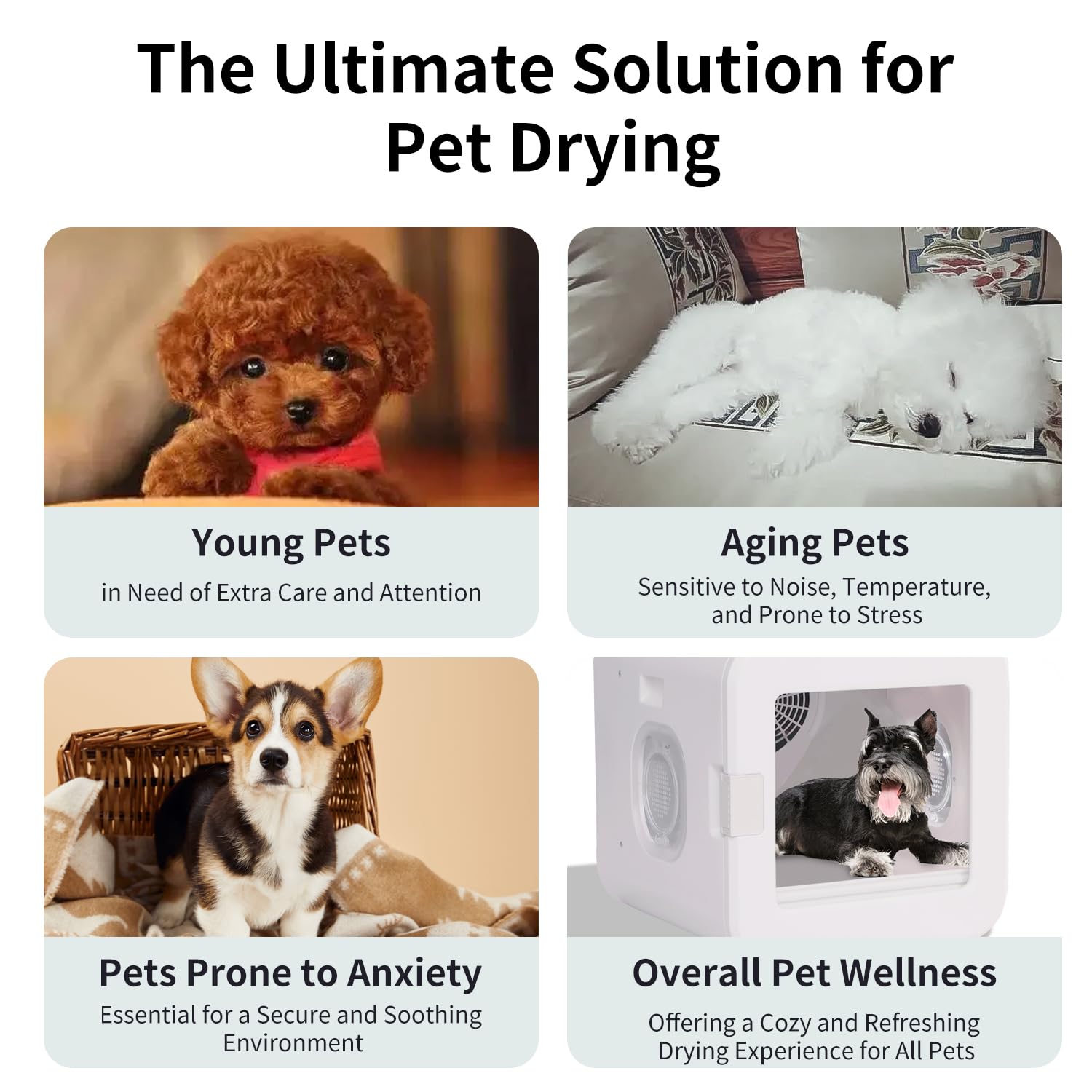Pet Grooming Dryer Box – Ultra Quiet 62L Pet Hair Dryer, Fully Automatic with Smart Temperature Control, 360° Efficient Airflow, Ideal Cat and Dog Drying Box for Small Pets, White